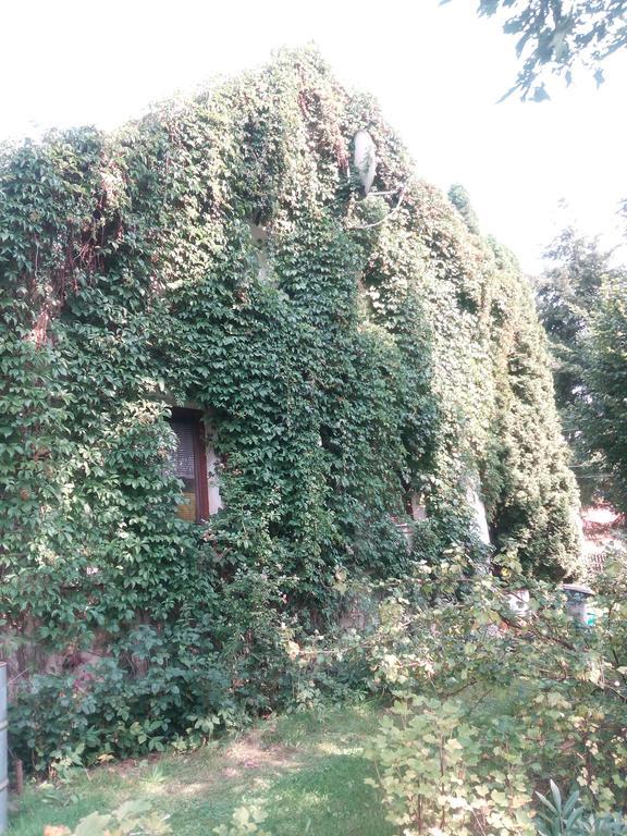 Pension Jana Tatrovice Buitenkant foto